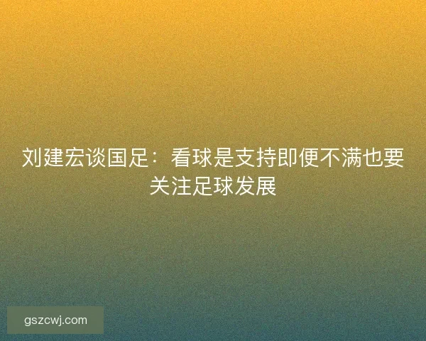刘建宏谈国足：看球是支持即便不满也要关注足球发展