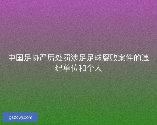 中国足协严厉处罚涉足足球腐败案件的违纪单位和个人