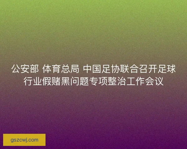 公安部 体育总局 中国足协联合召开足球行业假赌黑问题专项整治工作会议